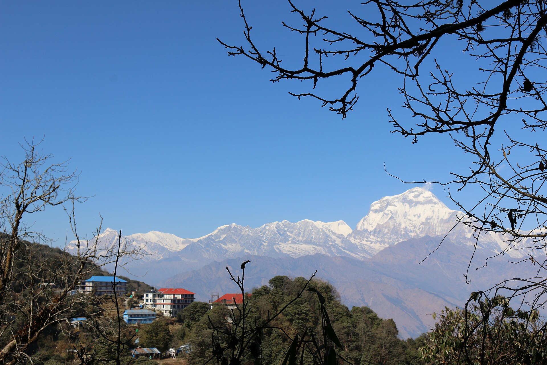 Poon Hill Short Trek — photo 2